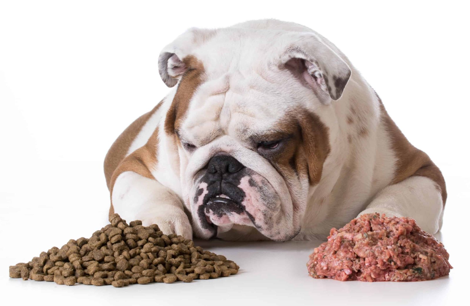 Read more about the article Benefits of Raw Dog Food
