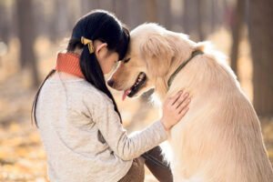 Read more about the article A Dogs Unconditional Love and Devotion