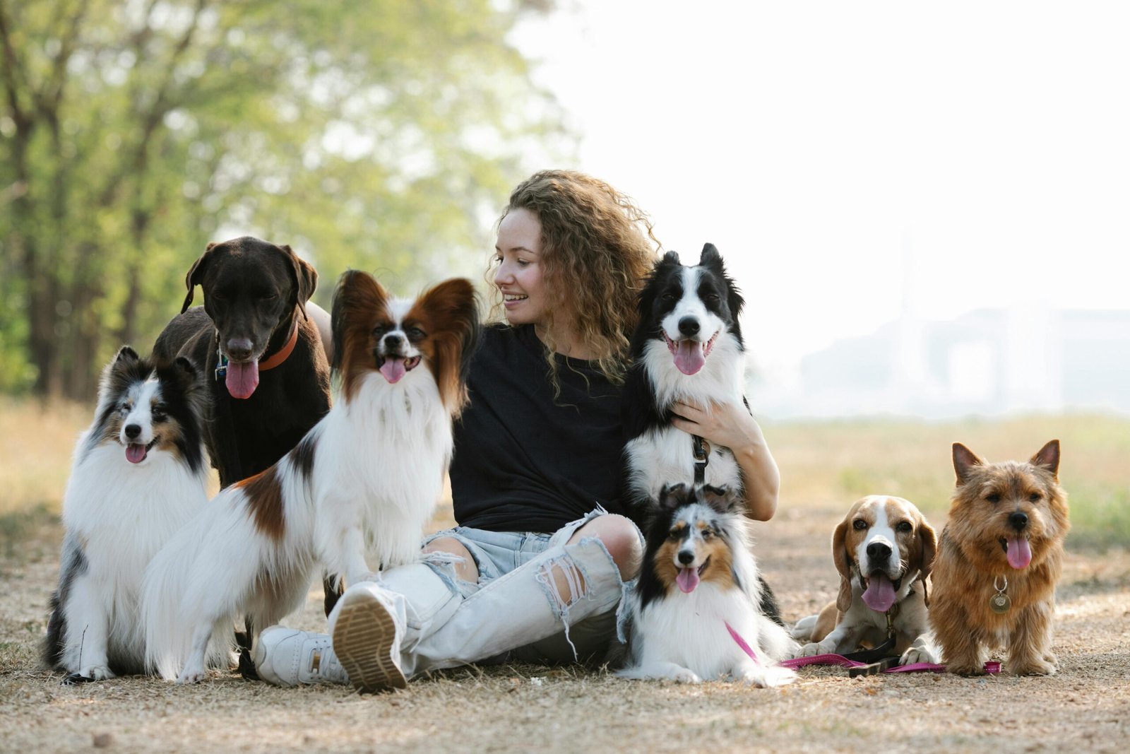 Dogs unconditional love and devotion