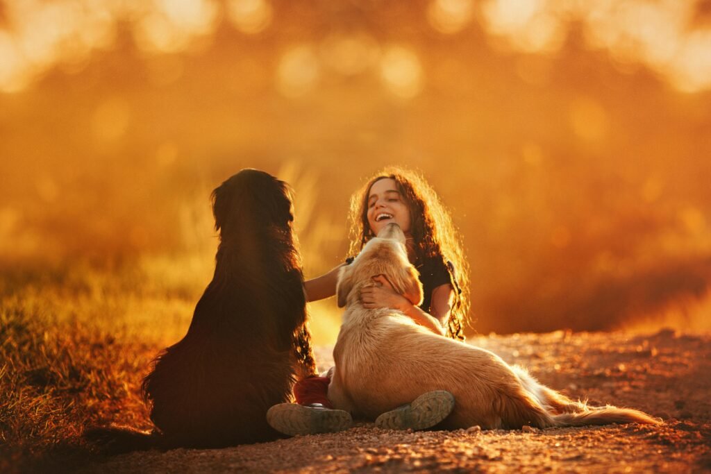dogs unconditional love and devotion
