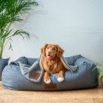 Best Cleaning Tips for Pet Owners
